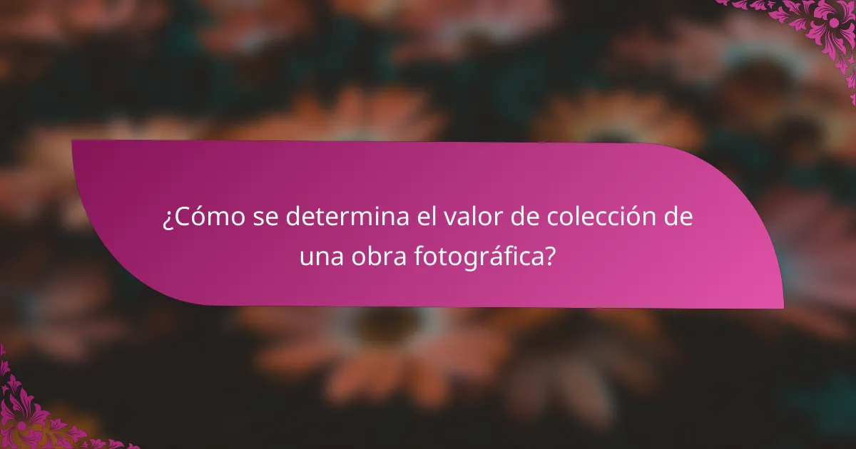 ¿Cómo se determina el valor de colección de una obra fotográfica?
