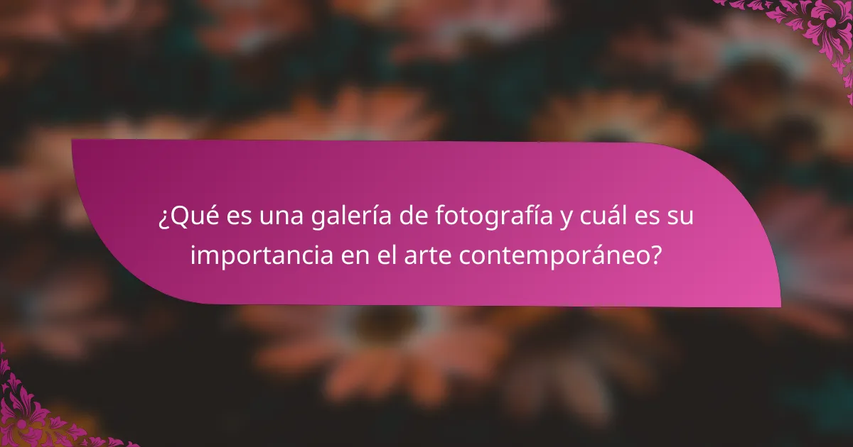 ¿Qué es una galería de fotografía y cuál es su importancia en el arte contemporáneo?