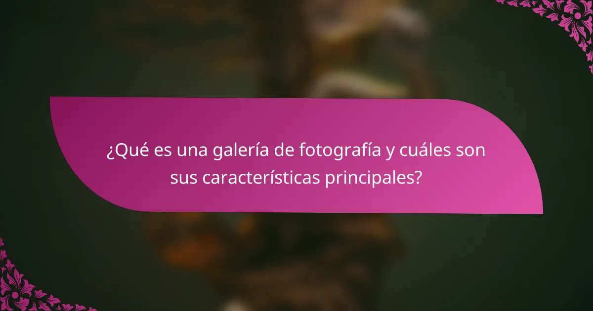 ¿Qué es una galería de fotografía y cuáles son sus características principales?