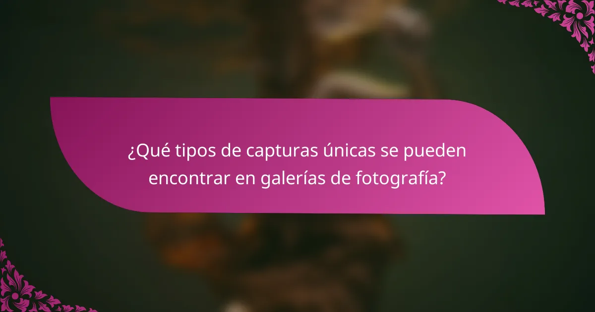 ¿Qué tipos de capturas únicas se pueden encontrar en galerías de fotografía?